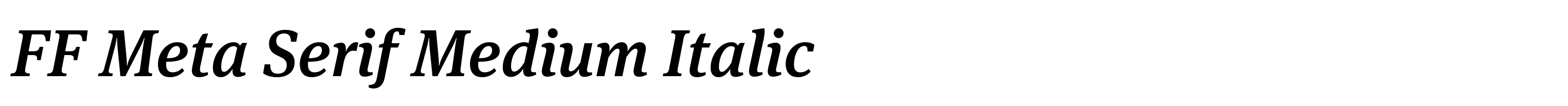 FF Meta Serif Medium Italic